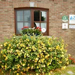 La Chrysalide