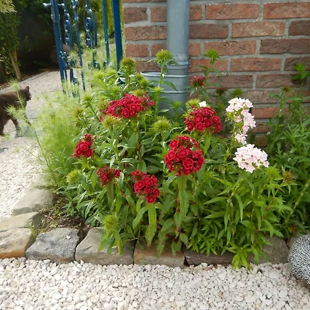 La Chrysalide 3* Bergen