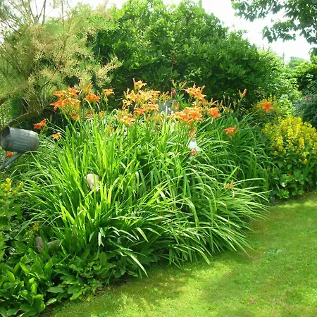 La Chrysalide Bergen