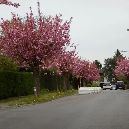 La Chrysalide Bergen