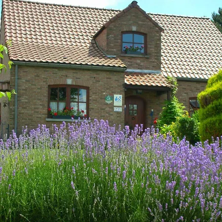 La Chrysalide Maison d'hôtes Mons