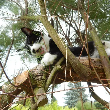 Gasthof La Chrysalide 3*