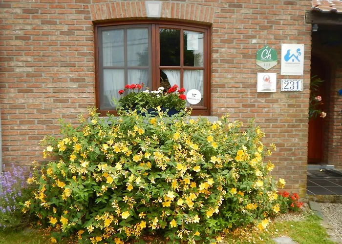 La Chrysalide