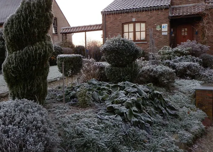 La Chrysalide בית הארחה מונס